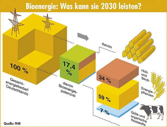 Grafik Bioenergie: Was kann sie im Jahr 2030 leisten?