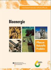 Bioenergie